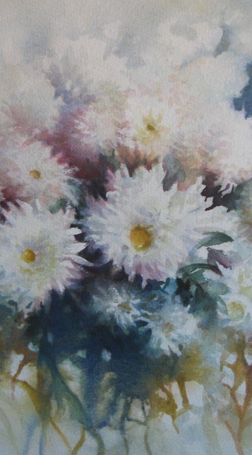 Chrysanthemum flowers by Elena Oleniuc