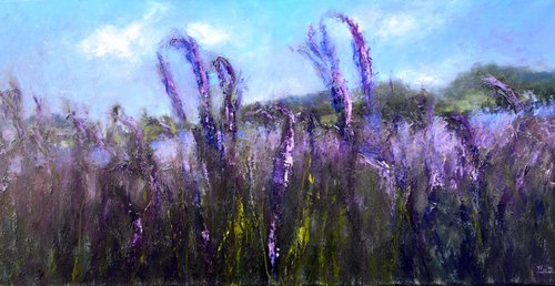 Lavender Field by Elena Lukina