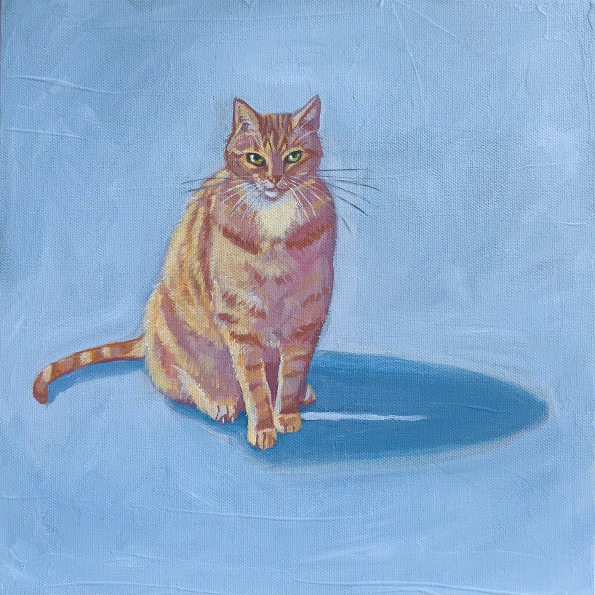 Photorealistic Animal Acrylic Painting By Mary Stubberfield, 12 X 12", Ginger Cat, Original Artwork