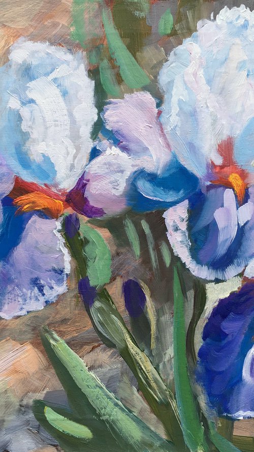 Irises by Elena Sokolova