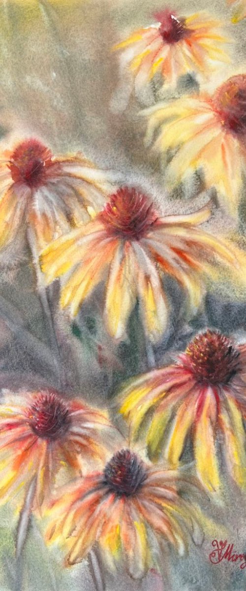 Radiant Echinacea by Vladlena Miroyan