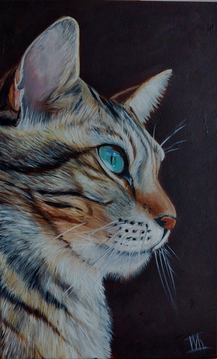 Cat with Blue Eyes by Ira Whittaker