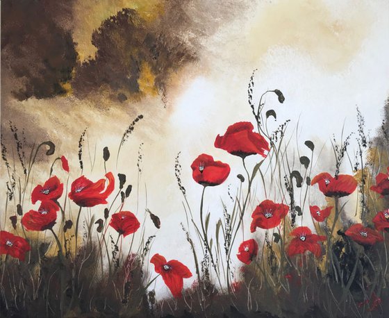 Poppies under a stormy sky