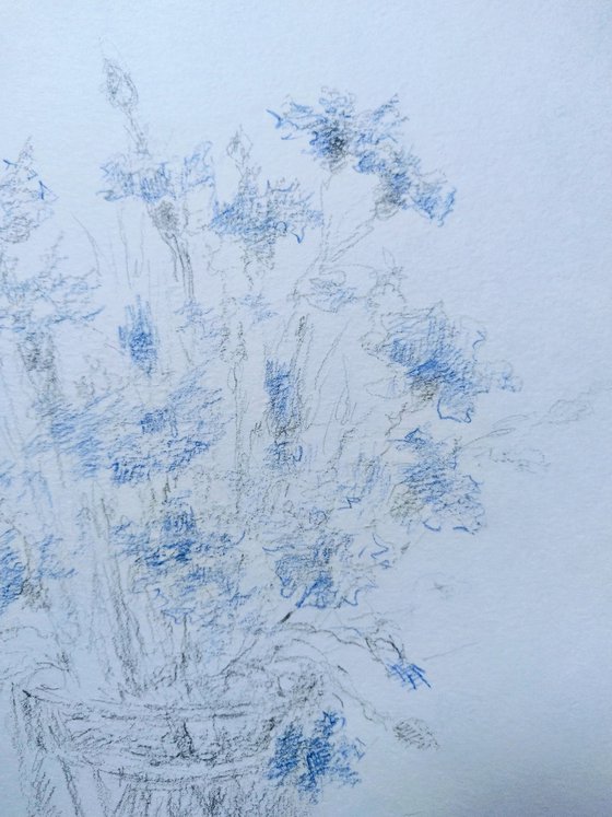 Cornflowers. Original pencil drawing.