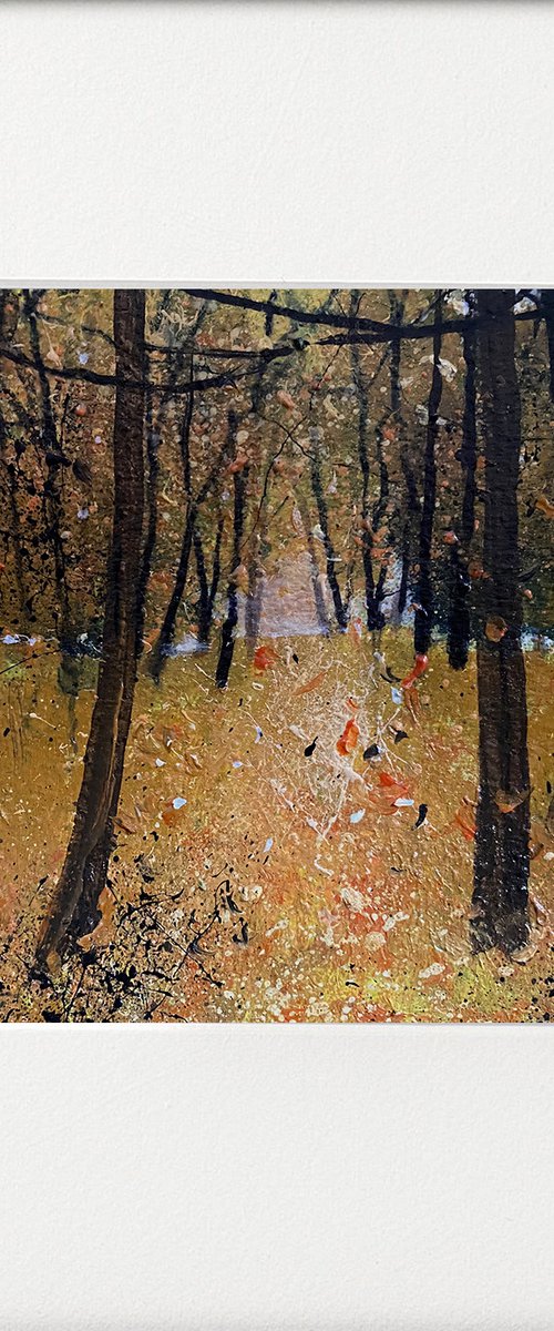 Seasons - Autumn Colours by Teresa Tanner