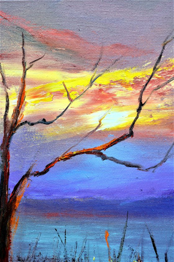 Seeing off the sun