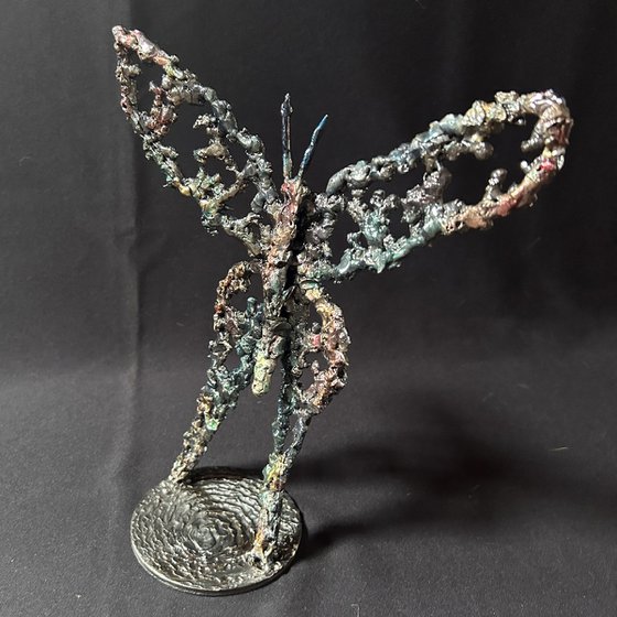 Butterfly 56-25