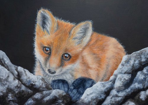 Fox Cub on Rocks by Jayne Farrer