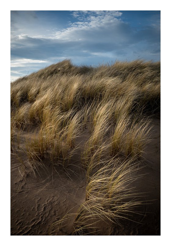 Dunes | Motion | II