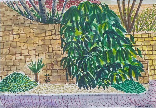 Terrace gardens at Rock Bay, Bahia las Rocas by Kirsty Wain