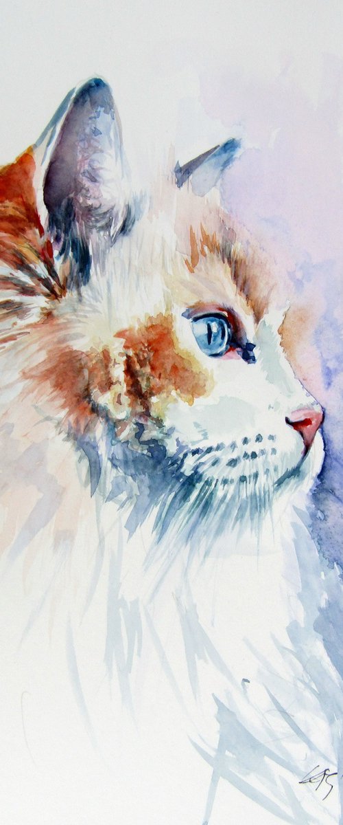 Cat portrait III by Kovács Anna Brigitta