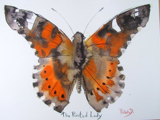 The Painted Lady (Pyrameis Cardui)