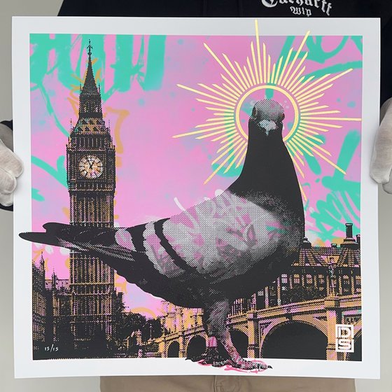 Pigeon ~ Pink