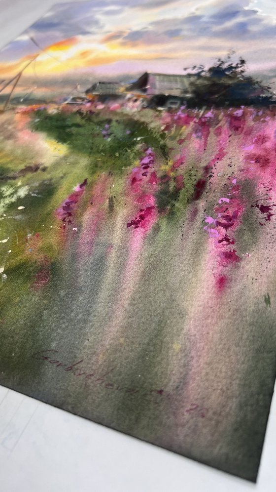 Where Fireweed Blooms
