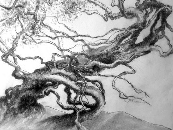 How to Draw with Charcoal: A Medium With Mystical Gravity - Realism Today