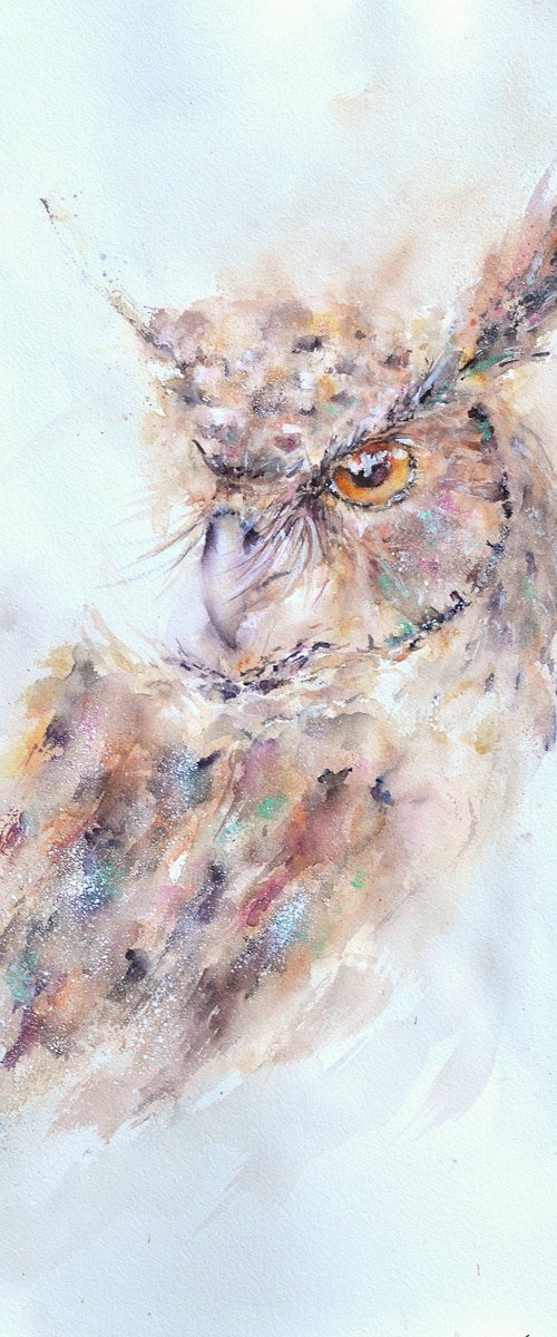 Horned Owl by Sveta Hubmann