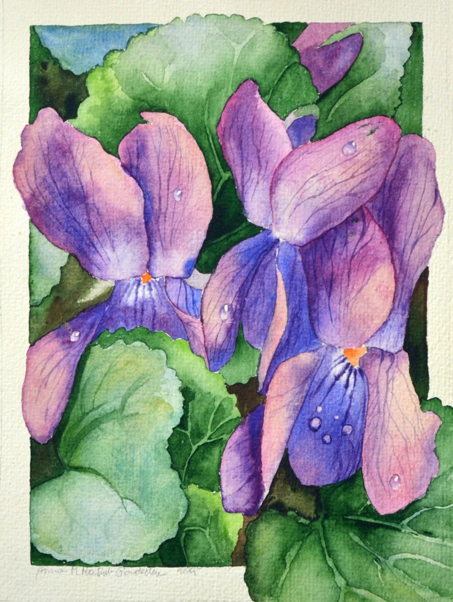 Spring Flowers3 - Violets by Anna Masiul-Gozdecka
