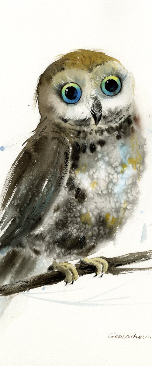 Little owl on a branch #7 by Eugenia Gorbacheva