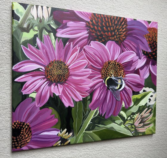 Echinacea And Bumble Bee