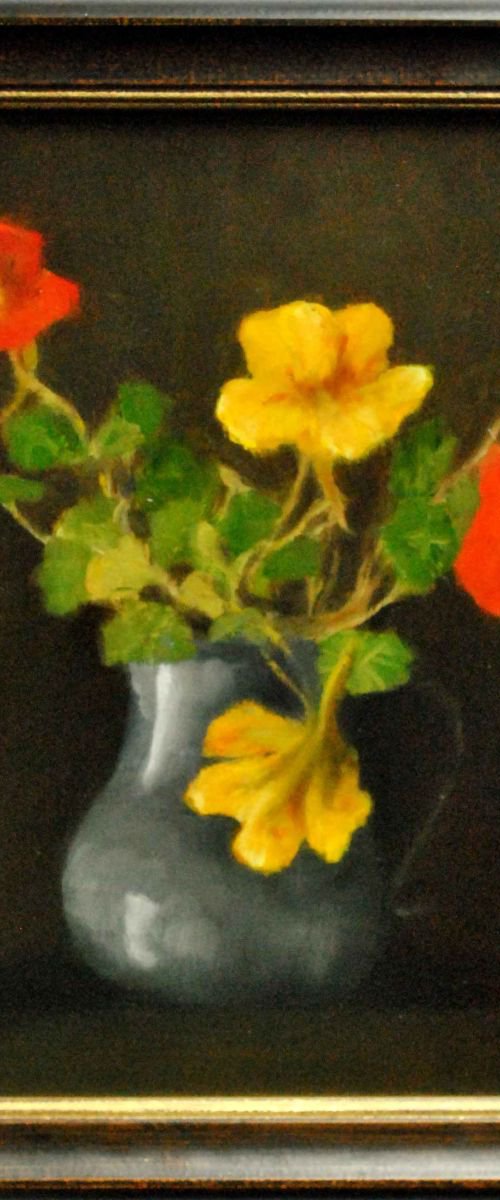 Nasturtium by Daniela Roughsedge