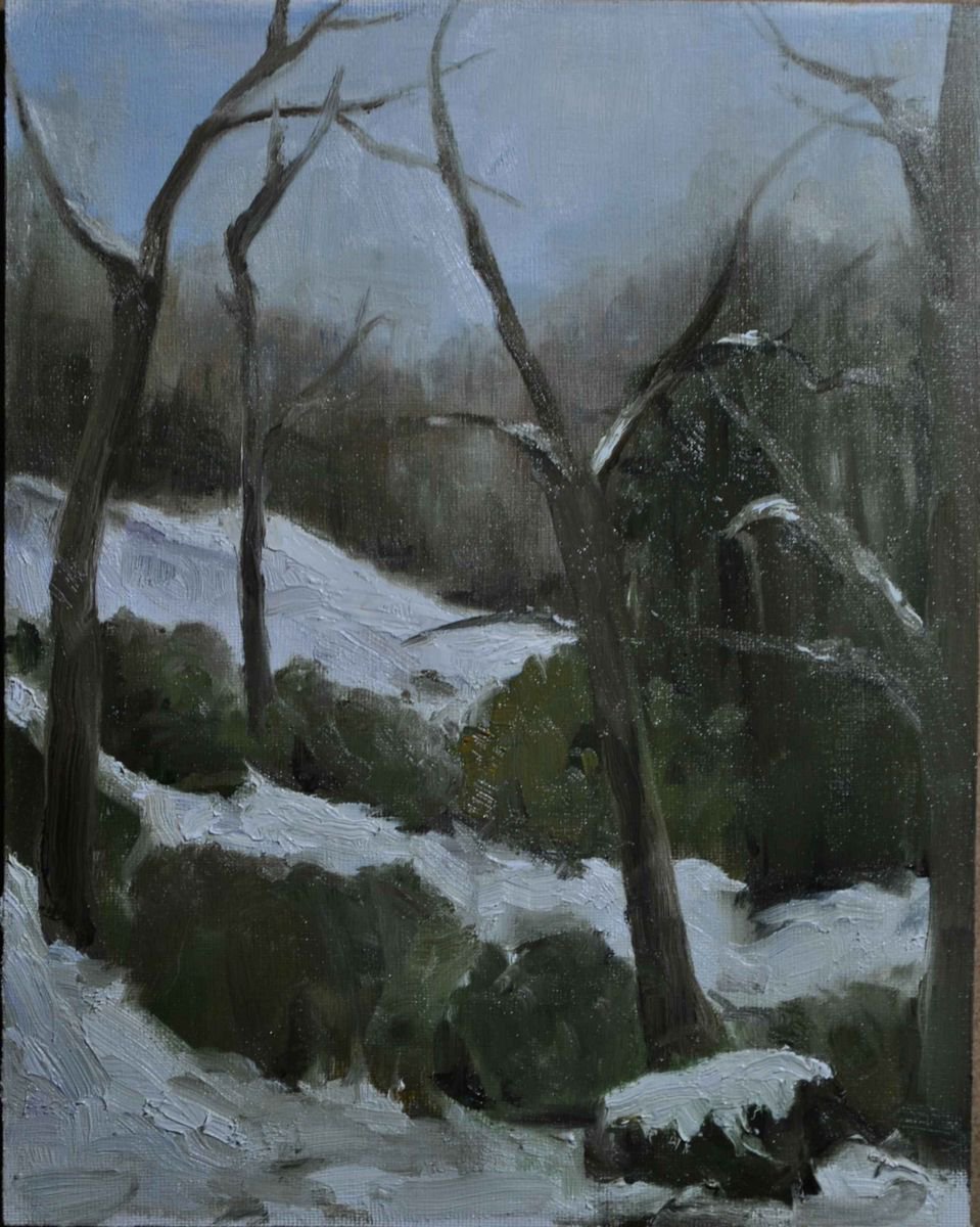 Impressionistic Landscape Oil Painting By Daniela Roughsedge, 7 X 9, Winter At Smith