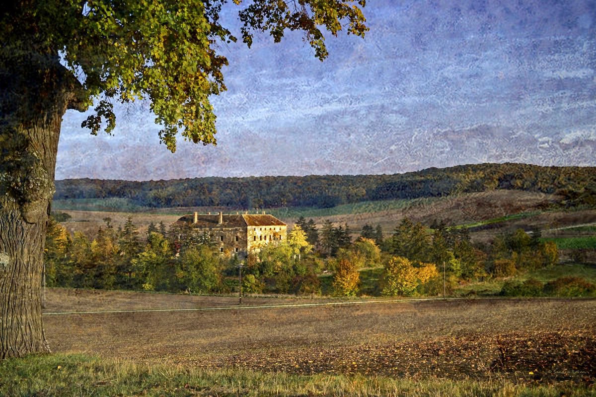 Autumn Impressions by Sandra Roeken