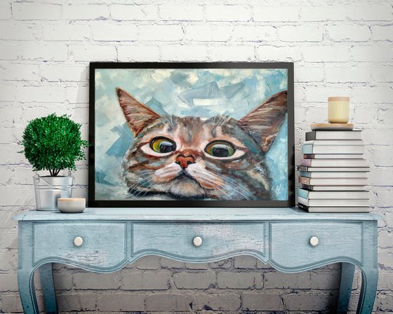 Curious cat