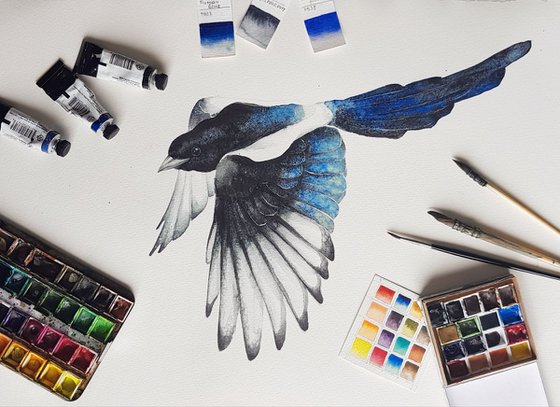 Magpie bird, wildlife, birds watercolours