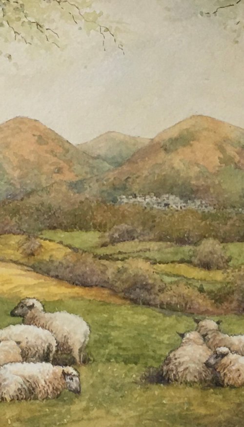 Malvern Hills from Callow End by Christopher Hughes