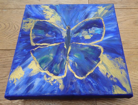 Blue and gold butterfly