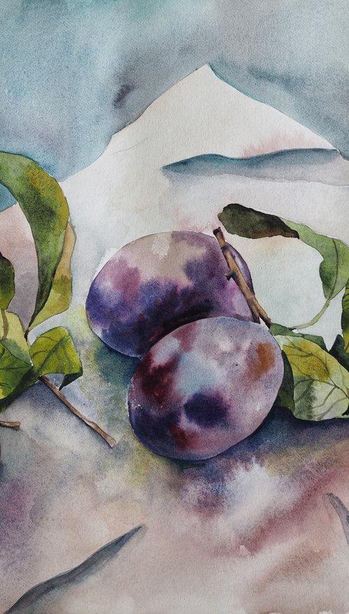 Plums on paper by Delnara El