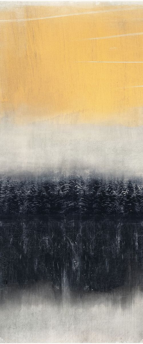 Pine lake by Nadia Attura