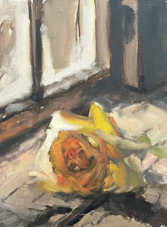 Study of Yellow Rose