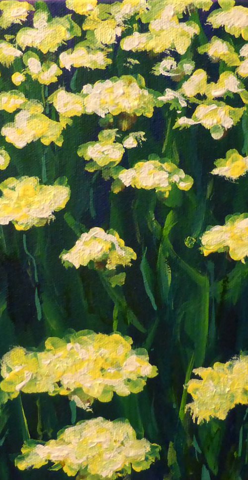 A field of yellow by Sam Martin