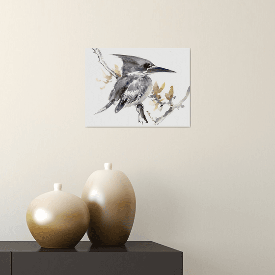 Belted Kingfisher artwork