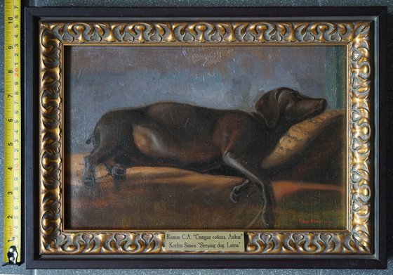 Sleeping dog. Laima