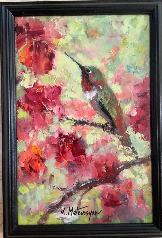 Hummingbird