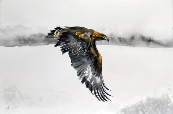 Golden Eagle.  Original watercolor.