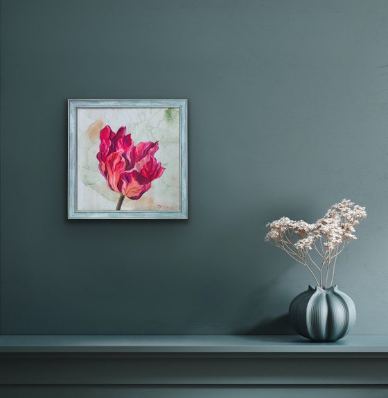 Framed Pink Tulip