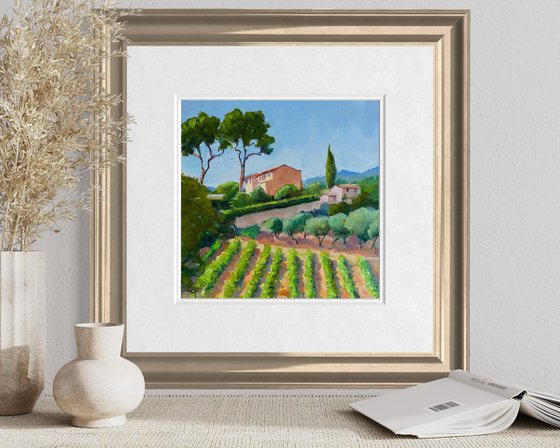 Tuscan Vineyard