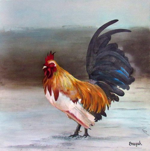 French Rooster by Geraldo Braga