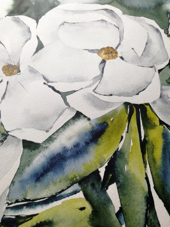 Magnolia painting. Blossoms painting