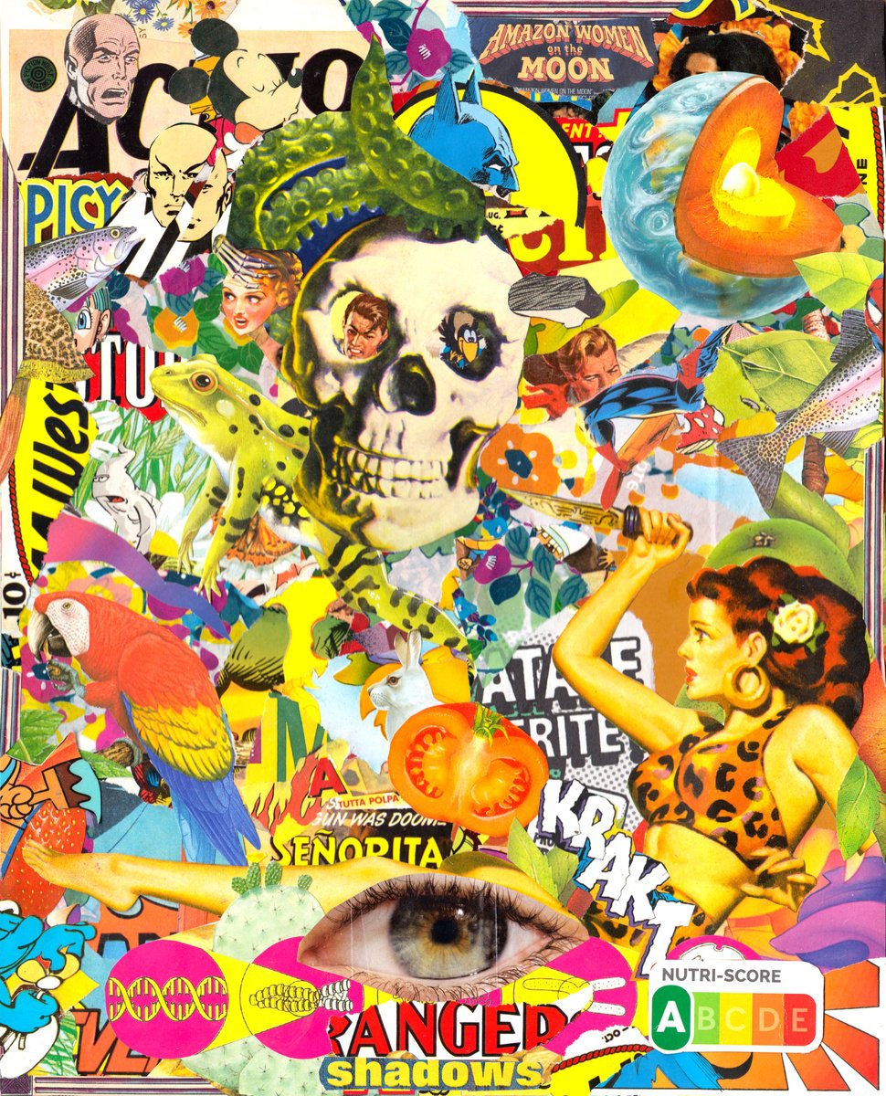 Urban And Pop Collage , Rainforest By Jon Garbet, 9 X 12, Artwork For Sale On Artfinder