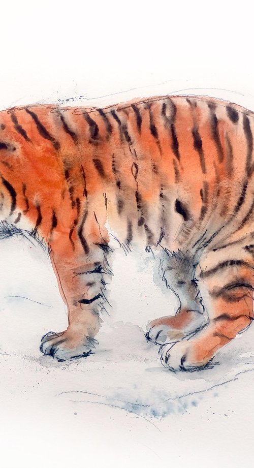Tigress in the Snow by Olga Beliaeva Watercolour