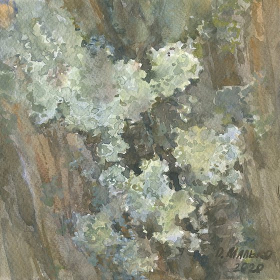 Big routes of little insects #3. Lichens on a tree bark. Original abstract watercolor