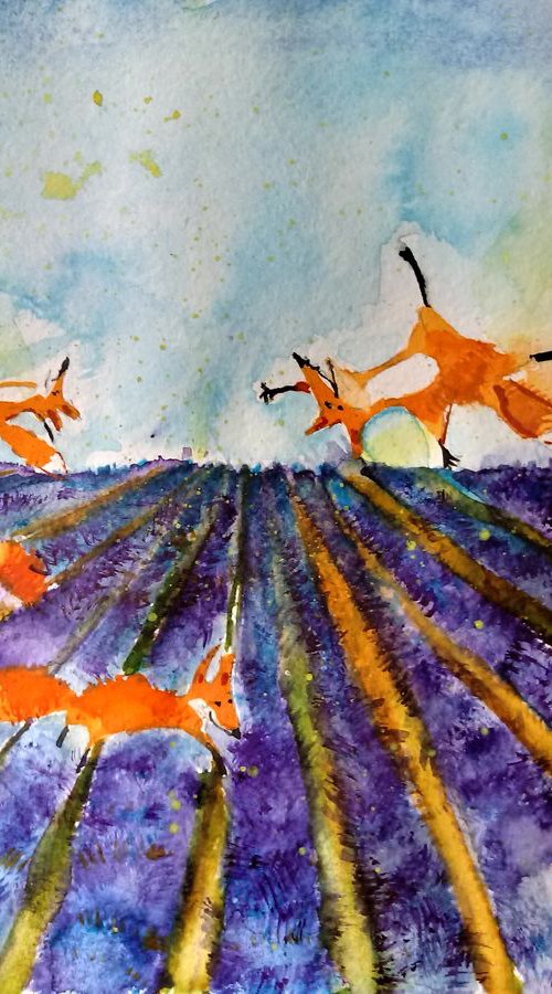 Provence by Jelena Nova