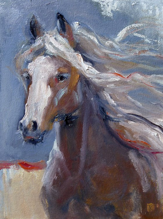 A horse in the wild