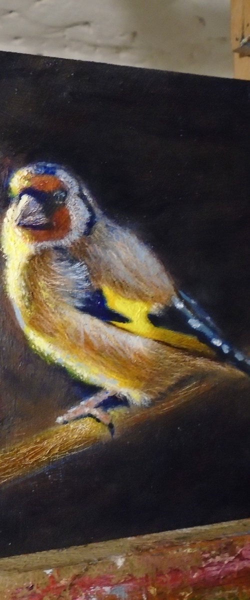 Goldfinch by Michael Mullen