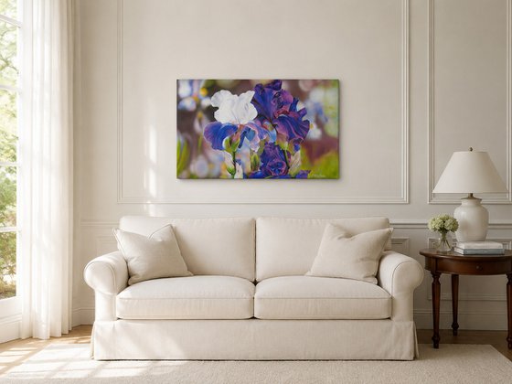 Purple and White Irises