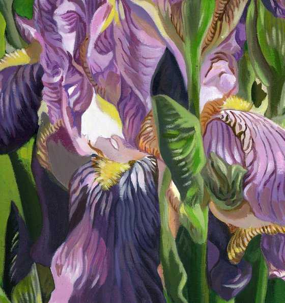 pink iris acrylic floral